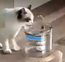 Fuente Para Gato