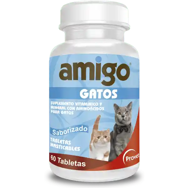 Amigo Gatos