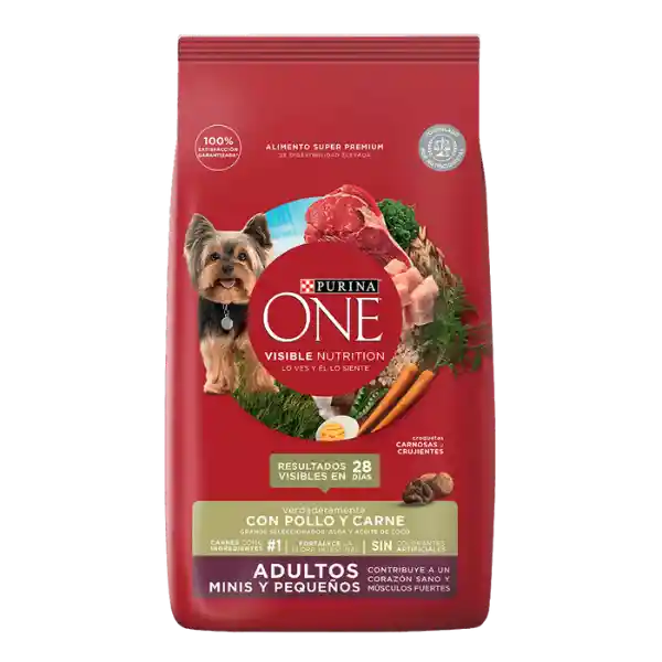 Purina One Adultos Minis Y Pequeños 1kg