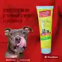 Multivitaminico Nutri Stat Para Perro Y Gato