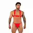 Lenceria Erotica Masculina Arnes Para Hombre Sexy Mt