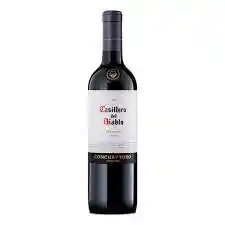 Casillero Merlot Botella Vino Botella