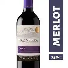 Frontera Merlot Concha Y Toro Botella Vino Botella