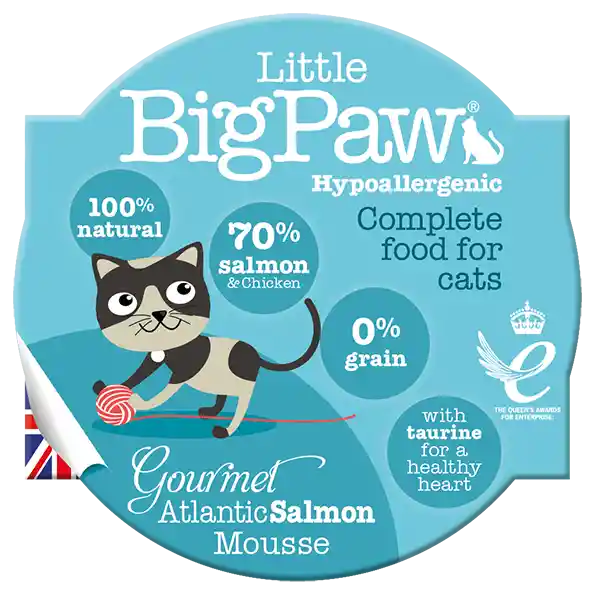 Lata Little Big Paw Gourmet Mousse De Salmón Del Atlántico Para Gatos 85gm