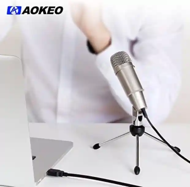 Microfono De Condensador Profesional Usb Aokeo Ak-2