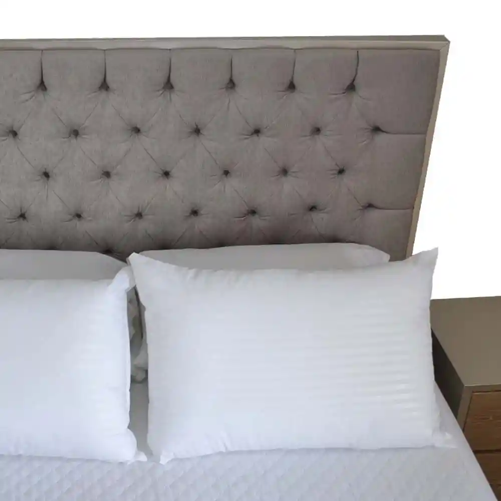 Set X 6 Almohadas Siliconadas 65x45cm Hogareto Blanco