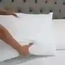 Set X 6 Almohadas Siliconadas 65x45cm Hogareto Blanco