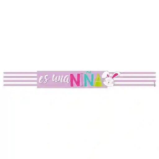 Banner Pequeño Es Un Niña