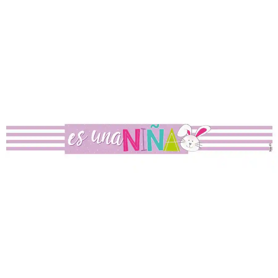 Banner Pequeño Es Un Niña