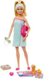 Set De Muñeca Barbie Dia De Spa Gjg55 Mascota Y Accesorios