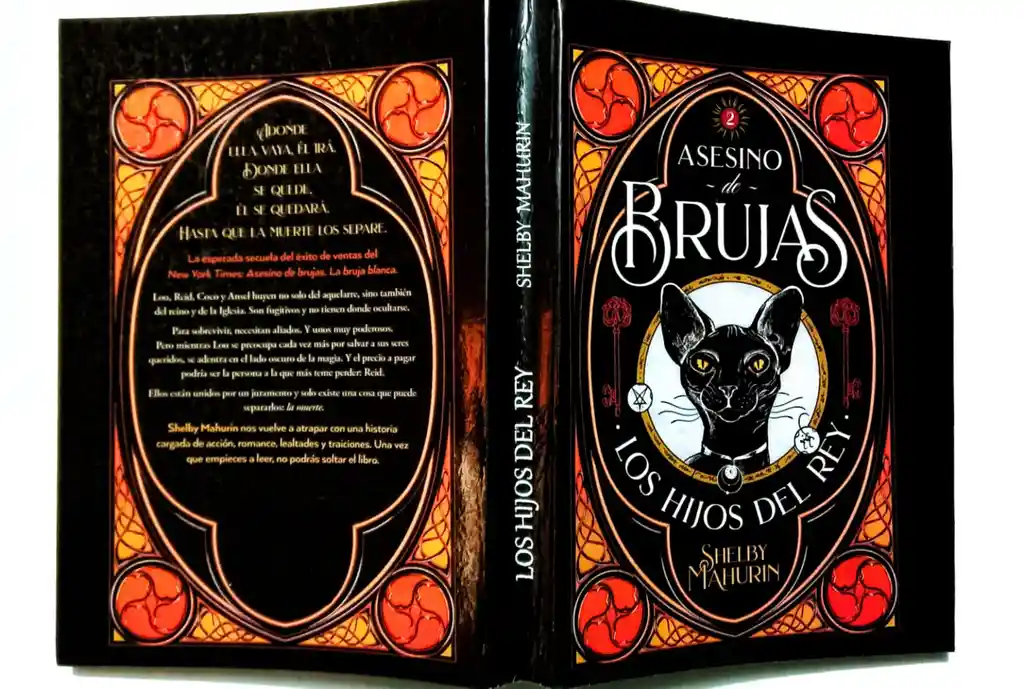 Libro Asesino De Brujas Los Hijos Del Rey