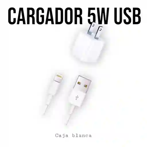 Cargador Iphone 5w