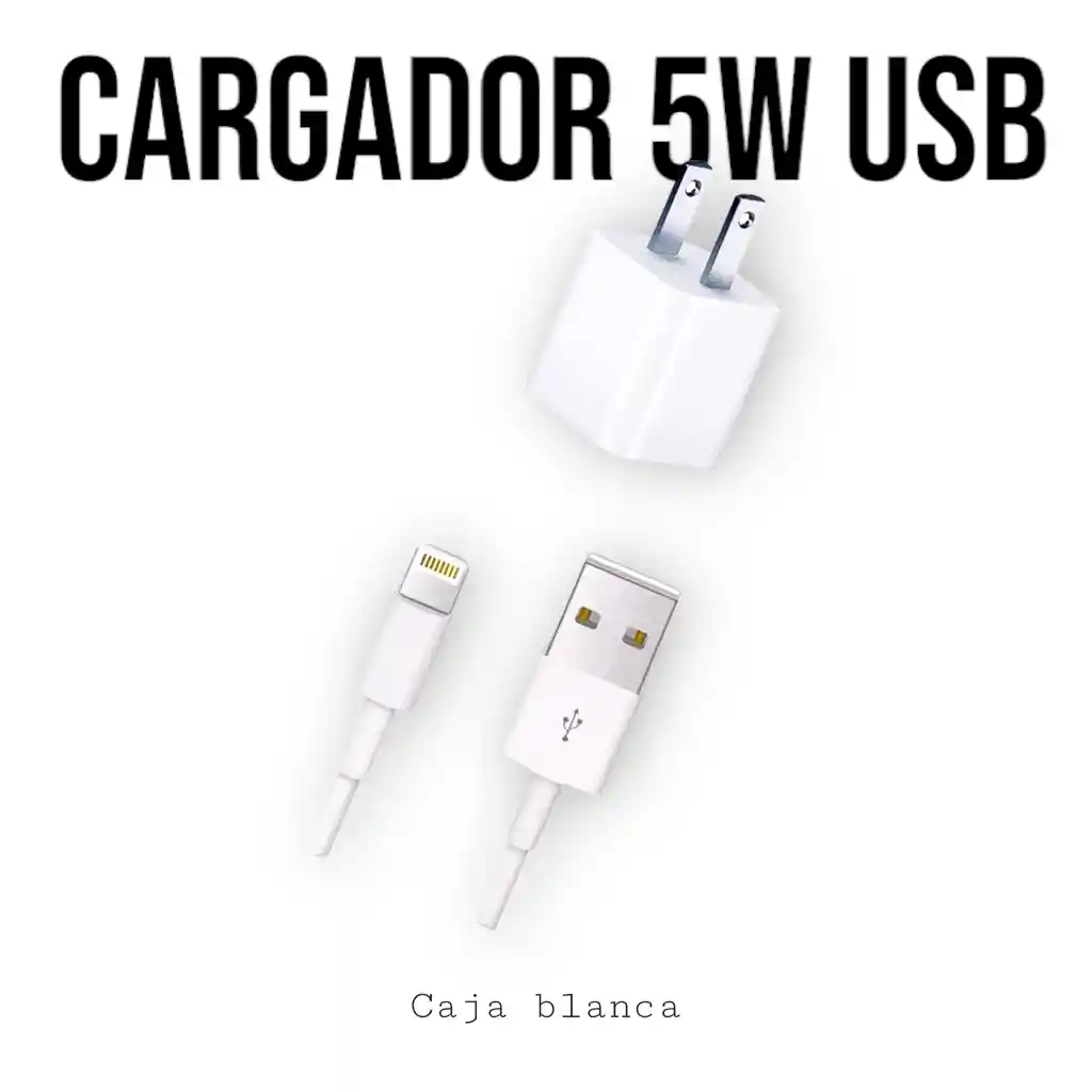 Cargador Iphone 5w