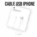 Cable Iphone Usb 1 Metro