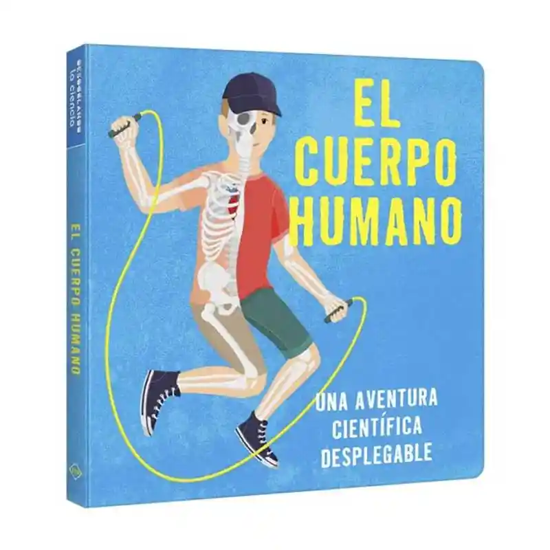 Libro El Cuerpo Humano Lexus