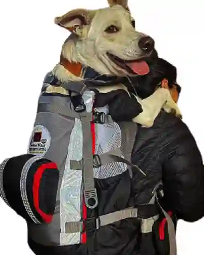 Morral Para Perros Pro Oslo
