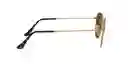  Gafas De Sol  Ray-Ban  Hexagonal Platinium 