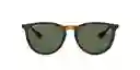  Gafas De Sol  Ray-Ban  Erika Carey Green 