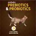 Evolve Alimento Para Gato De Salmon 2.75lbs Evolve Cat