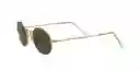  Gafas De Sol  Ray-Ban  Oval Classic 