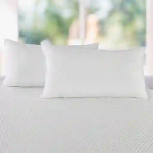 Set X 2 Almohadas Siliconadas 90x50cm Hogareto Blanco