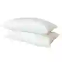 Set X 2 Almohadas Siliconadas 90x50cm Hogareto Blanco