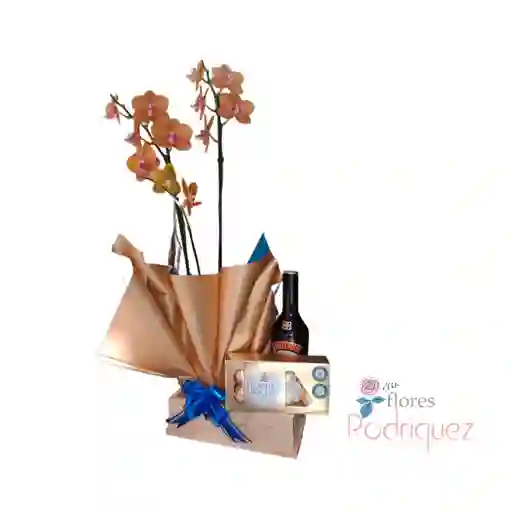Gift Box Orquidea, Baileys Y Chocolates