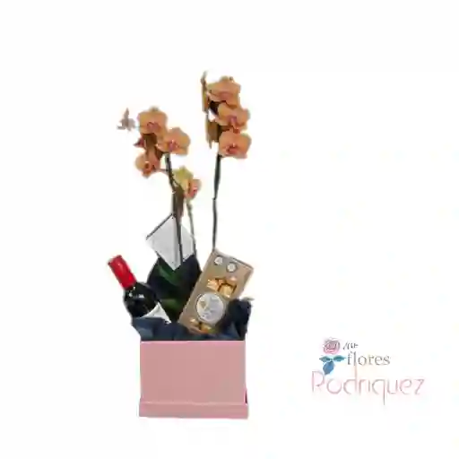 Gift Box De Orquídea Con Vino Y Chocolates