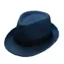 Sombrero Hombre Mujer Fedora Gardel Playa Protege Sol Gorro