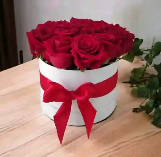 Caja De Rosas Premium X 12