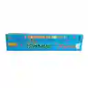 Tempera Rapid X6