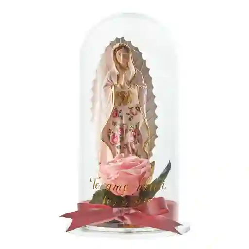Virgen Estandar
