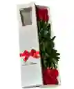 Caja Tradicional X 12 Rosas De Exportación Y Follaje