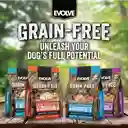 Evolve Alimento Para Perro Pavo Grain Free Real Turkey 4lbs Evolve Perro