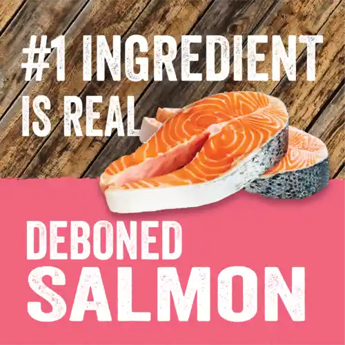 Evolve Alimento Para Pero Grain Free Real Salmon 3.5lbs Evolve Perro