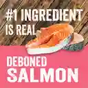 Evolve Alimento Para Pero Grain Free Real Salmon 12lbs Evolve Perro
