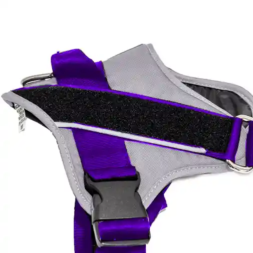 Arnés Para Perro Felcan Mini Trabajador Gris Claro Y Morado - S