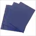 Carpeta Catologo De 3 Tornillos, Tamaño Oficio Azul