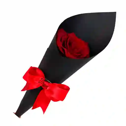 Unidad De Rosa Linda