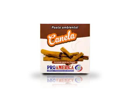 Pasta Ambiental Caja Canela 30gr