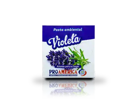 Pasta Ambiental Caja Violeta 30 Gr