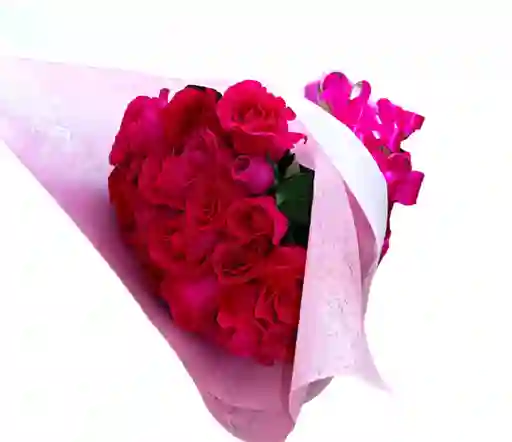 Bouquet De 24 Rosas Fucsias
