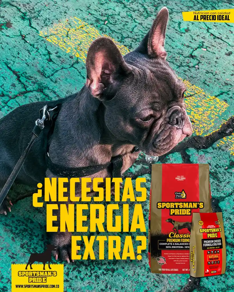 Sportsmans Pride Con Glucosamina Premiun 4 Lbs Sportsmans Perro