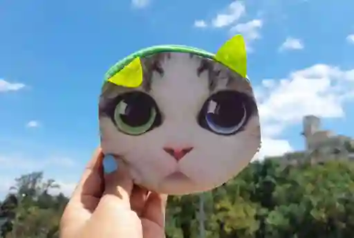 Monedero De Gato