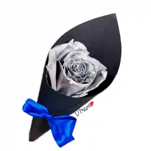Unidad De Rosa Plateada