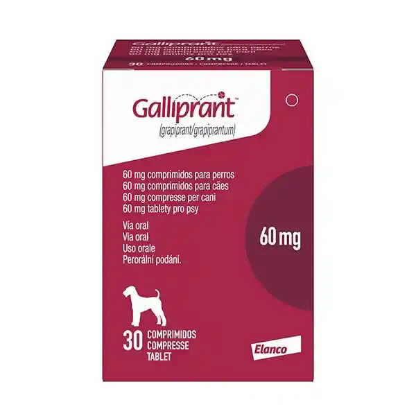 Galliprant 60mg