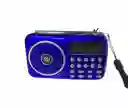 Radio Recargable Portátil Fm / Am Digital Mp3 Digital Usb Nt-1092