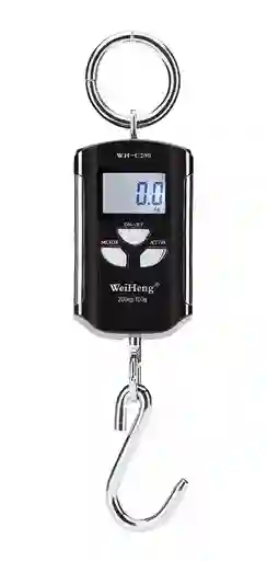 Colgante Digital Bascula 200 Kgx100g Alta Precisión Weiheng