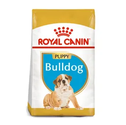 Royal Canin Perro Bulldog Ingles Puppy X 3 Kg