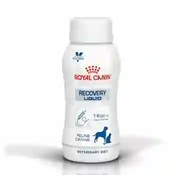 Royal Canin Icu Recovery X4 Frascos